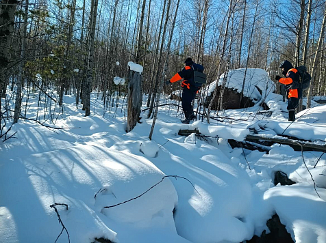 Пропавшую семью Усольцевых вновь будут искать в лесах Красноярского края . Фото: «КГКУ Спасатель»
