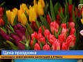 Перед 8 Марта в Красноярске открылись десятки точек продажи тюльпанов