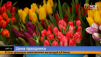 Перед 8 Марта в Красноярске открылись десятки точек продажи тюльпанов