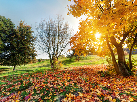 В Красноярске 9 сентября ожидается прохладная погода и дождь. Фото: ru.freepik.com