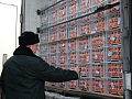 Красноярский край нарастил импорт плодоовощной продукции