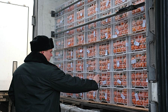 Красноярский край нарастил импорт плодоовощной продукции