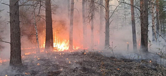  Красноярскому краю предрекли тяжелую ситуацию с пожарами в июне 