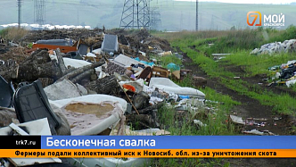 Свалка размером с микрорайон — в Красноярске нашли горы опасных отходов
