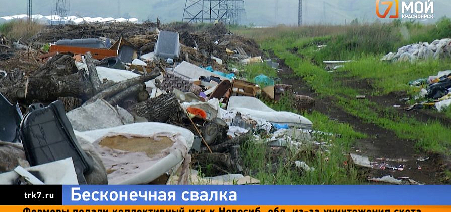 Свалка размером с микрорайон — в Красноярске нашли горы опасных отходов