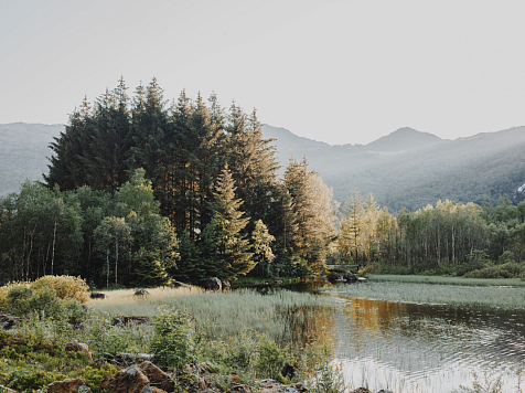 В Красноярске 31 июля в понедельник днем ожидается +27°C. Фото: ru.freepik.com