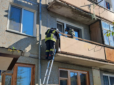 Спасатели Минусинска спустили кота с балкона по пожарной лестнице. Фото: МЧС Красноярского края