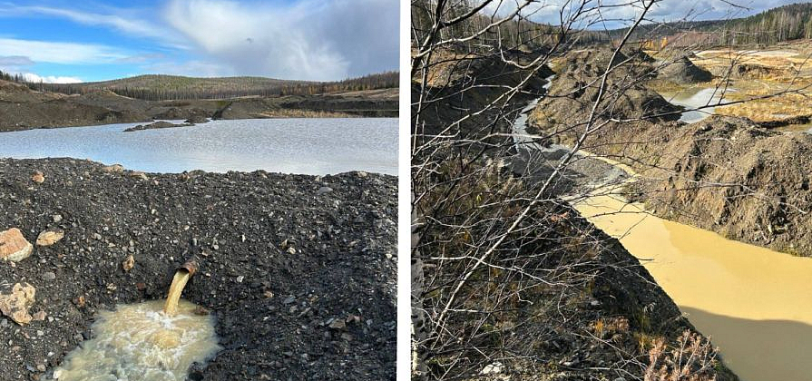  В Северо-Енисейском районе золотодобывающая компания выплатила почти 4 млн рублей за загрязнение реки