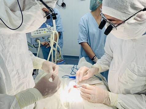 Хирурги из Красноярска спасли двух недоношенных новорожденных в Бурятии. Фото: Кардиоцентр г. Красноярска