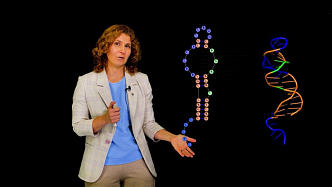 Красноярский ученый рассказал о возможностях цифровых лекарств