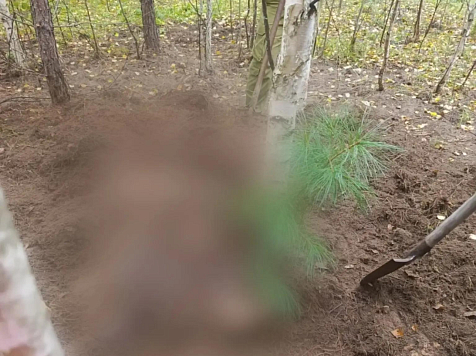 На севере Красноярского края медведь растерзал двух женщин. Фото: СК&nbsp;РФ