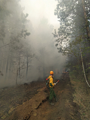 Сильные лесные пожары ждут в Красноярском крае летом 2023 года  
