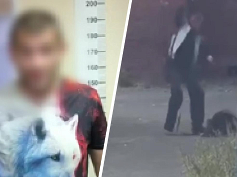 В Норильске пьяный мужчина избил свою овчарку. Его нашла полиция . Коллаж: «МВД 24», «Норильск Today 18+» / Telegram