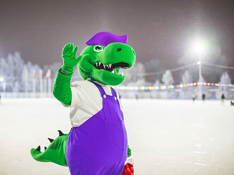 В Красноярске на острове Татышев закрылся каток  . Фото: Татышев-парк