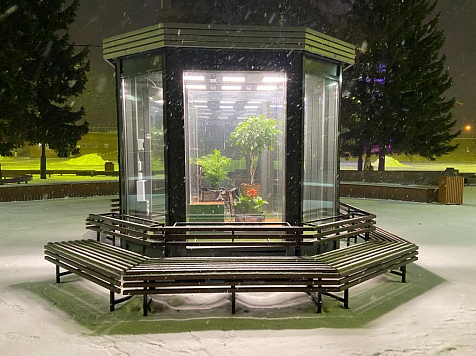 Мини-оазис с цветами установили на площади Мира в Красноярске. Фото: Красгорпарк