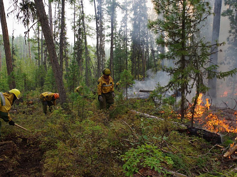 В Красноярский край отправили дополнительные силы для тушения лесных пожаров. Фото: aviales.ru