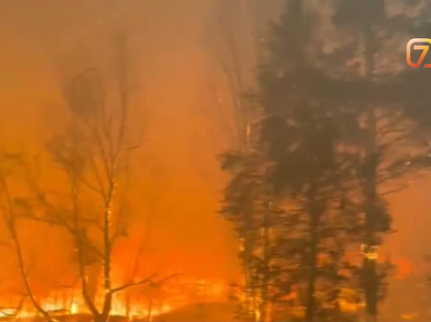 Рекорд за десять тысяч лет в Красноярском крае поставили лесные пожары. Фото: 7 канал Красноярск