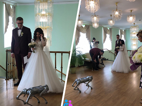 В Норильске на церемонии бракосочетания кольца вручил робот-собака. Фото, видео: Агентство ЗАГС Красноярского края / VK
