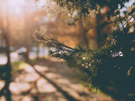 В Красноярске 13 апреля ожидается +7 градусов тепла . Фото: ru.freepik.com