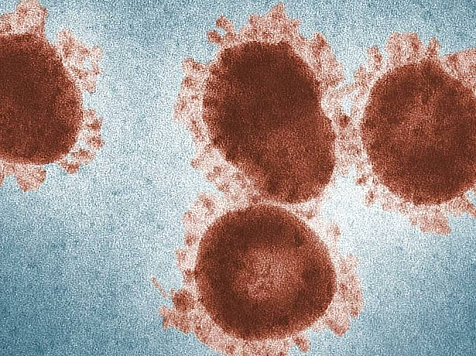 Красноярские врачи развеяли 5 мифов о коронавирусе. Фото: pixabay.com