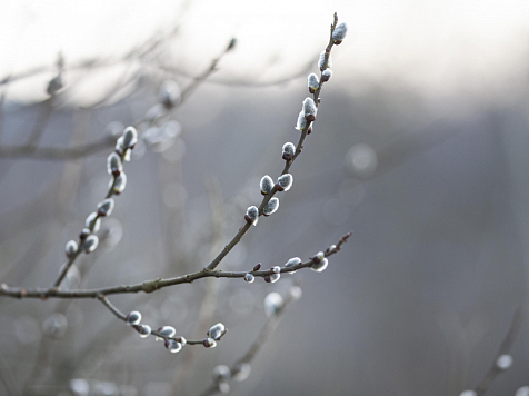 На выходных в Красноярске потеплеет до +11 градусов. Фото: freepik