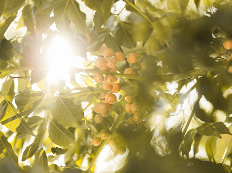 В Красноярске на выходных ожидается теплая и комфортная погода. Фото: ru.freepik.com