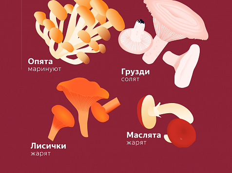 Названы самые популярные у красноярцев грибы. Коллаж: на основе изображения yandex.ru