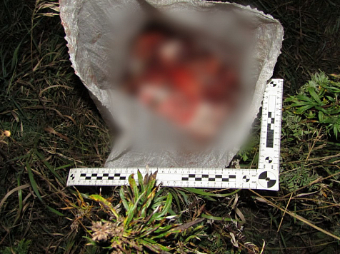 В Красноярском крае трое мужчин вышли на незаконную охоту и застрелили из ружья косуль. Фото: МО МВД России "Шарыповский"