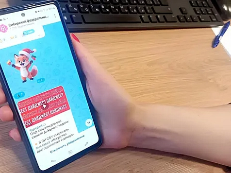 Сообщения об утере студенческого билета в Красноярке исчезнут навсегда. Фото: СФУ