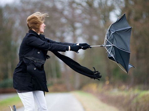 ​В Красноярске завтра будет сильный ветер. Фото: myslo.ru