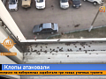 Жители Солнечного в Красноярске переживают нашествие клопов