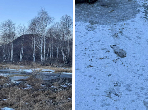 В Хакасии четырёхлетний мальчик провалился под лёд и утонул. Фото: ГСУ СК России по Красноярскому краю и Республике Хакасия