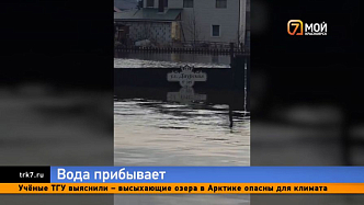 Бесконечный кошмар: вода продолжает топить СНТ «Черемушки-1»