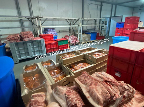 Мухи и сальмонелла: в Красноярске закрыли мясной цех из-за антисанитарии. Фото: Роспотребнадзор Красноярского края