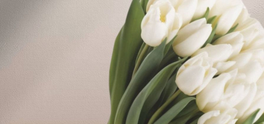 Как выбрать и сохранить тюльпаны на 8 марта — рассказали красноярские специалисты
