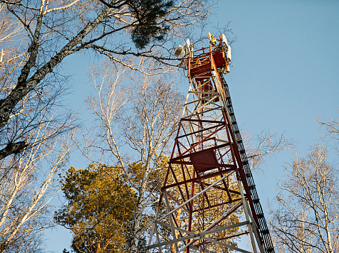В Красноярском крае в два села впервые провели интернет. Фото: правительство Красноярского края