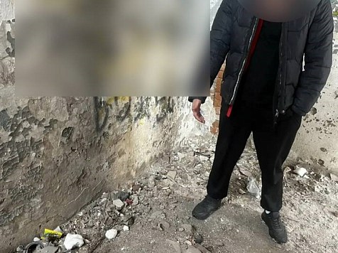 Житель Ачинска приютил бездомного пса, а затем избил его. фото: ГУ МВД по Красноярскому краю