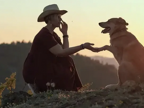 Пес-экоинспектор из Красноярска не только спасает город от мусора, но и лечит людские сердца . Фото: Марина Якубенко