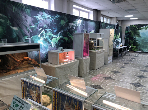 Передвижной зоопарк держал питомцев в антисанитарии и возил по Красноярскому краю. Фото: прокуратура Красноярского края