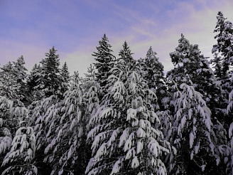 На Красноярский край надвигается шквалистый ветер с порывами до 18 м/с 4 декабря