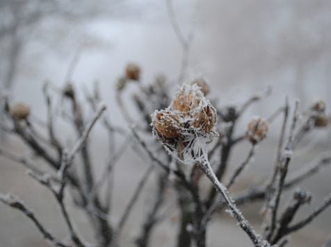 В Красноярске 6 марта похолодает до -1°C. Фото: unsplash.com
