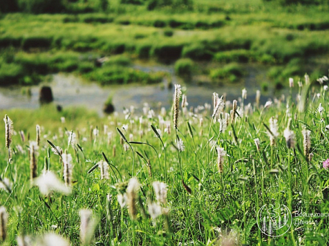 В Красноярске в субботу днём ожидается жара до +29°C. Фото: Даниил Войцеховский
