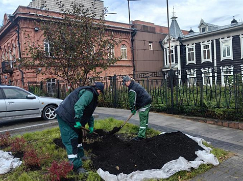 В Красноярске началось озеленение улиц Дзержинского и Перенсона после ремонта. Фото: администрация Красноярска