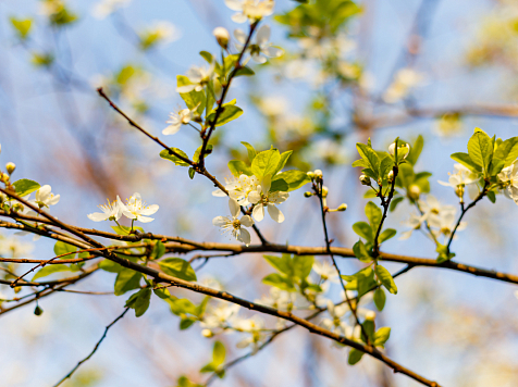 В Красноярск 27 апреля придёт потепление до +10°C. Фото: ru.freepik.com