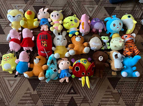 Многодетный житель Зеленогорска украл для своих детей 27 игрушек из игрового автомата. Фото, видео: МВД