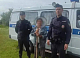 Из леса в Красноярском крае вывели слабовидящего дедушку
