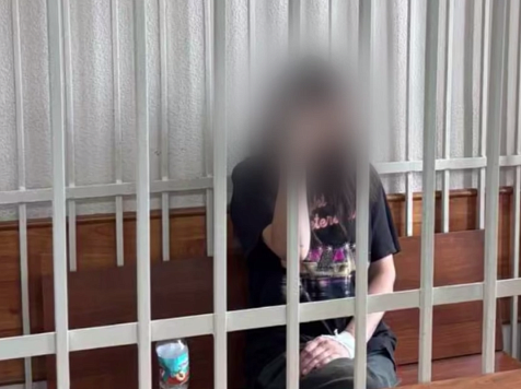 Красноярке, пытавшейся зарезать трехлетнего сына, избрали меру пресечения. Фото/видео: ГСУ СК России по Красноярскому краю