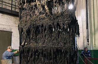 Красноярские коммунальщики посчитали, сколько новогодних салатов горожане отправили в унитаз