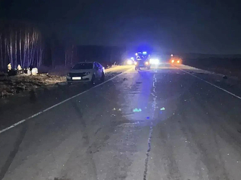 В Красноярске возбудили уголовное дело после гибели трех человек в ДТП с лошадью. Фото: ГАИ Красноярского края