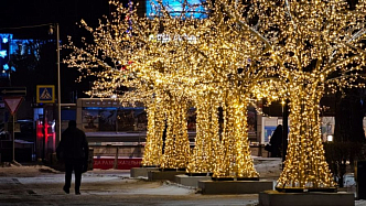 В Красноярске заработали светящиеся деревья